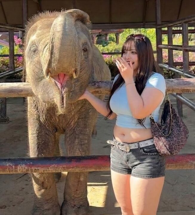 【画像】豊満ギャル「待って、動物園行ったらゾウ🐘より足太かったんだけどw」