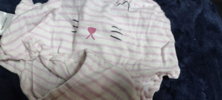 実家の母ちゃんから「紬ちゃん（6歳の姪）の猫ちゃんの下着持って帰ってない？」ってライン来たんやが